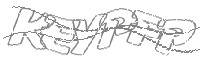 Check code